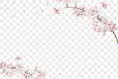 Pink cherry blossom flower branch border frame on transparent background | free image by rawpixel.com / Gad… in 2022 | Cherry blossom flowers, Blossom flower, Flower branch Flower Frame Png, Japan Sakura, Cherry Blossom Flower, Pink Cherry Blossom, Transparent Flowers, Free Overlays, Cherry Blossom Branch, Border Frame, Sakura Flower