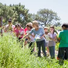 Field Trip Aesthetic, Review Aesthetic, Observational Learning, Nature Calendar, School Field Trip, Natural Science, Community Involvement, Effective Learning, Nursing Education