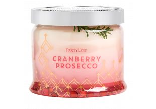 Cranberry Prosecco, Boho Berry, Candle Obsession, Sugared Cranberries, Candle Quotes, Winter Rose, Soft Winter, Decorated Jars, Candle Collection