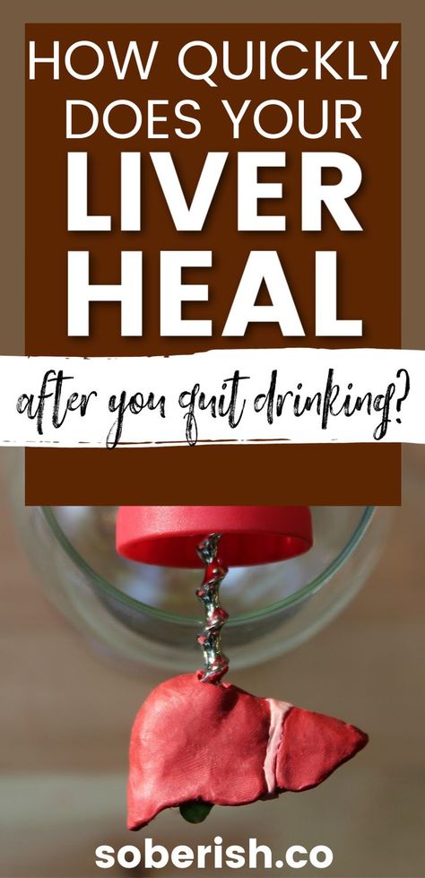 Alcohol Benefits, Heal Liver, Giving Up Alcohol, Alcohol Detox, Quit Drinking, Drinking Alcohol, Healing Waters, Liver Detox, The Liver