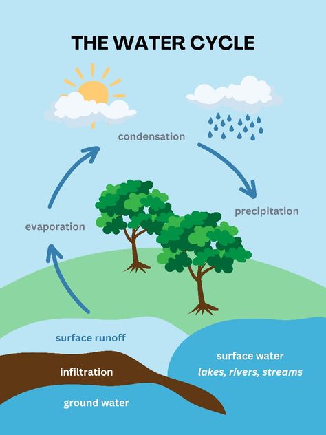 You will get to know about water cycle About Water, Water Cycle, Surface Water, Environmental Science, Earth Science, Beautiful Flowers, Cycling, Science, Water