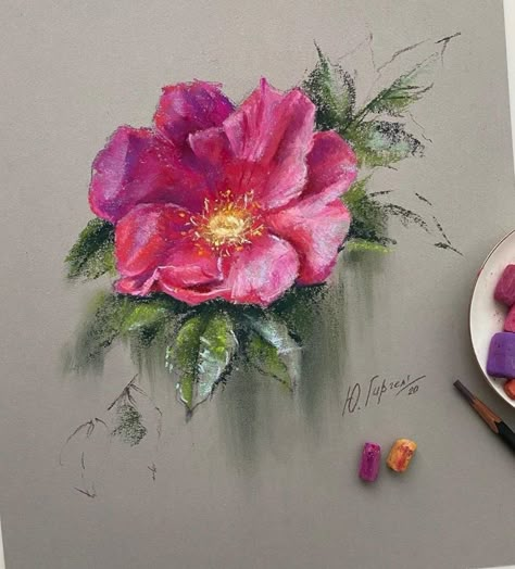 Soft Pastel Painting Ideas, Pastles Drawings Aesthetic, Pastel Artwork Flower, Oil Pastel Flowers, Soft Pastel Flowers, Dry Pastels, Art Room Posters, Colored Pencil Art Projects, Chalk Pastel Art