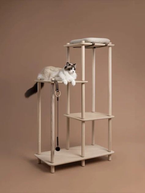 Papuk Connect Collection is Ready-To-Assemble Cat Furniture Module Design, Study Interior Design, Plywood Shelves, Cat Tower, Cat Room, Design Milk, Cat Tree, Cat Furniture, Pet Furniture