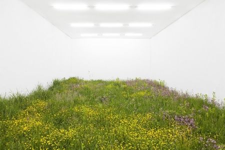 Fake Grass Installation, Fake Grass, Retail Store Design, Native Garden, Nature Green, Studio Shoot, Rimini, Lungs, Blue Art