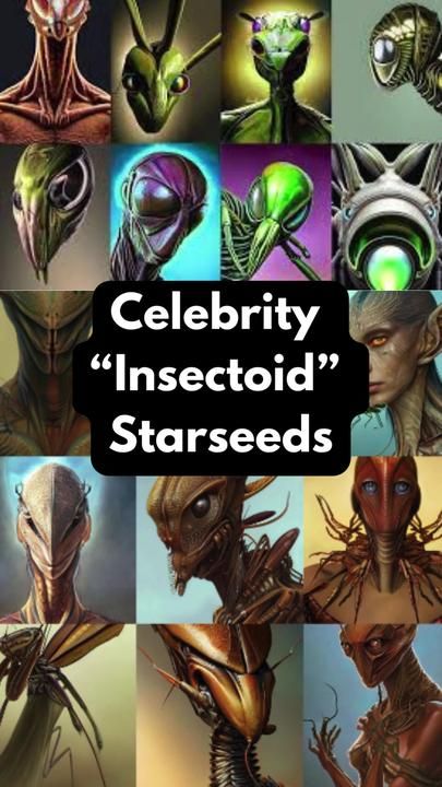 so...sometimes I can see what someone's higher form is by reading their energy. sometimes it comes through very strongly, other times it's only a small dash. all of these celebrities have strong insectoid energy when I read them. In the video I talk about: insectoids, insectoid alien, starseeds, starseed, astral travel, spirituality, astral projection, psychic, psychic reading, energy reading, aliens, alien spiecies, starseed types, interdimensional, 5D, spiritual. Starseed Types, Reading Energy, Types Of Aliens, Energy Reading, Alien Proof, Alien Pictures, Alien Sightings, Alien Species, Alien Encounters