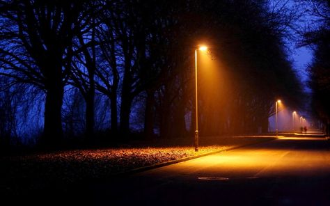 Right to Light – BLDGBLOG Night Plants, Road Wallpaper, Landscape Night, Trees Lights, Dark Tree, Dark Street, Pintura Exterior, Light Pole, Street Lights