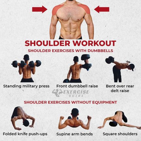 Exercise Guide | 100 reps every day, seemingly simple yet effective home workout method. 💪The results in slimming the belly are truly remarkable. Try... | Instagram Shoulder Dumbbell Workout, Sculpted Shoulders, Build Shoulders, Arnold Press, Military Press, Rear Delt, Front Raises, Lateral Raises, Overhead Press