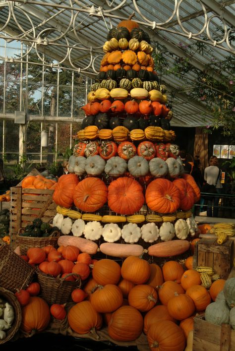 Pumpkin Tower at Kew Gardens Autumn Festival, London autumn fall festival london tower pumpkin kew gardens Pumpkin Cream Cheese Cake Recipe, Pumpkin Tower, London Autumn, London Tower, Pumpkin Display, Fall Planters, Pumpkin Cream Cheeses, Pumpkin Recipes Dessert, Meteor Garden 2018