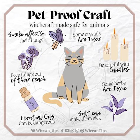 Witch & Wiccan on Instagram: "How do you make your craft safe for your pets? It's important to keep in mind that some things might not be harmful for us, but they are…" Lost Pet Spell Cats, Cats In Witchcraft, Pet Witchcraft, Pet Spells, Spoonie Witch, Wicca Knowledge, Wiccan Tips, Animal Witch, Cat Symbolism