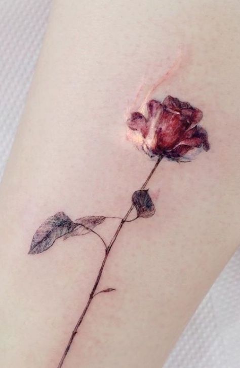 Burning Flower Tattoo, Flower On Fire Tattoo, Burning Rose Tattoo, Rose On Fire Tattoo, Fire Rose Tattoo, Ruby Rose Tattoo, Burn Tattoo, Beauty And The Beast Rose Tattoo, Tattoo Fire