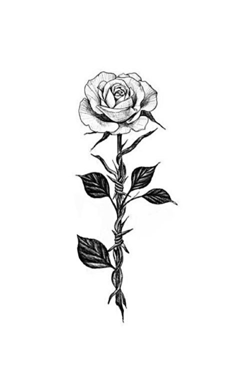 Barb Wire And Roses Tattoo, Barbed Wire With Rose Tattoo, Roses Thorns Tattoo, Thorn And Rose Tattoo, Edgy Rose Tattoo, Rose With Thorns Tattoo Design, Rose With Barbed Wire Tattoo, Barbwire Rose Tattoo, Grunge Rose Tattoo