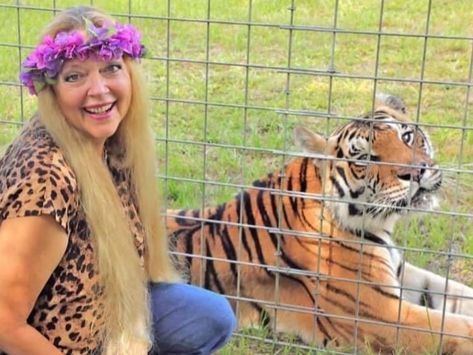 Carole Baskin Sells Joe Exotic's Property, But It Can't Become a Zoo Carol Baskin Costume, Sara Pascoe, Carol Baskin, Tv Trivia, Carole Baskin, Mary Higgins Clark, Fools And Horses, Big Cat Rescue, Joe Exotic