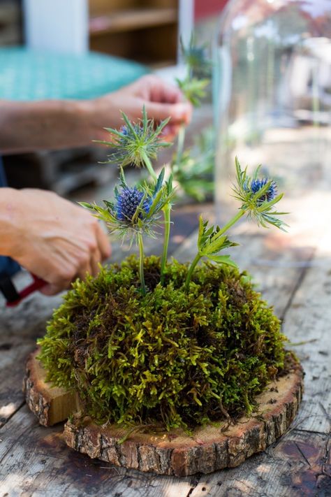 GangandWool-051-gardenista Tree Trunk Centerpieces, Floral Arrangements With Ferns, Wood Floral Arrangements, Woodland Floral Arrangements, Moss Flower Arrangements, Woodland Flower Arrangements, Moss Floral Arrangements, Holly Arrangement, Oasis Arrangements