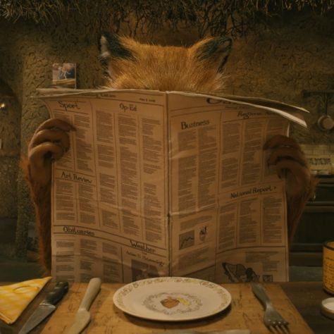 Mr Fox Wallpaper, Mr Fox Movie, Fantastic Mr Fox Movie, The Fall Movie, Fantastic Fox, Mister Fantastic, Wes Anderson Movies, Wes Anderson Films, Fantastic Mr Fox