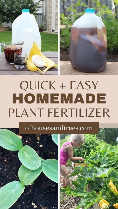 Gardening should be enjoyable - not hard. This easy plant fertilizer recipe will make taking care of your plant babies a whole lot simpler. With just a few ingredients you can find in your kitchen, you can bet your plants will be happy! Make Plant Fertilizer, How To Make Fertilizer At Home, Homemade Fertilizer For Vegetables, Homemade Garden Fertilizer, Natural Garden Fertilizer, Homemade Plant Fertilizer Recipe, Natural Fertilizer For Vegetable Garden, Diy Plant Fertilizer How To Make, Home Fertilizer For Plants