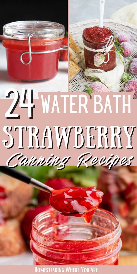 Strawberries are a low-acid food, so they are perfect for water bath canning recipes. When you build up your homestead pantry, you need some sweet treats. Don't forget to add some strawberry canning recipes! Recipes For Strawberries, Strawberry Canning, Homestead Pantry, Strawberry Harvest, Water Bath Canning Recipes, Easy Christmas Candy Recipes, Easy Canning, Strawberry Water, Low Acid Recipes