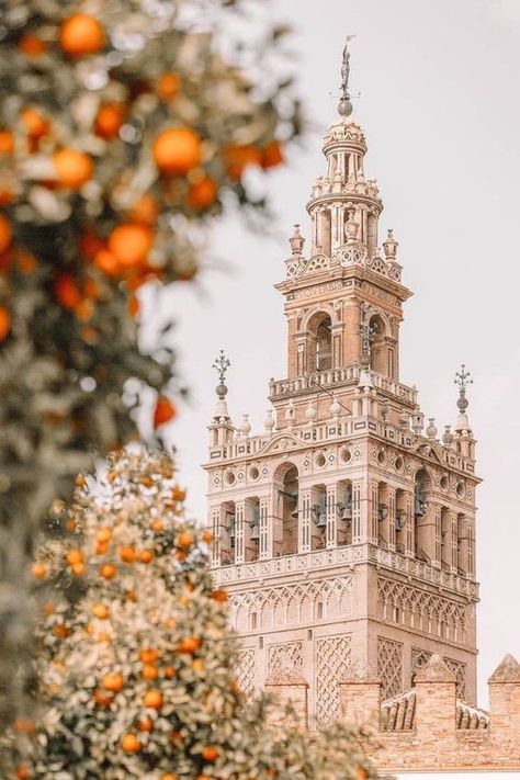 La Giralda, Sevilla, Andalucía 🇪🇸 #travel #travelphotography #travelblogger #traveltheworld #travelawesome #travelgoals #travelinspiration #travelphotographer #travelaroundtheworld #travellover #travelpic #traveling #travelislife Seville Spain Photography, Seville Aesthetic, Seville Photography, Cathedral Photography, Spain Wallpaper, Seville Cathedral, Photography Things, Spain Aesthetic, Places In Spain