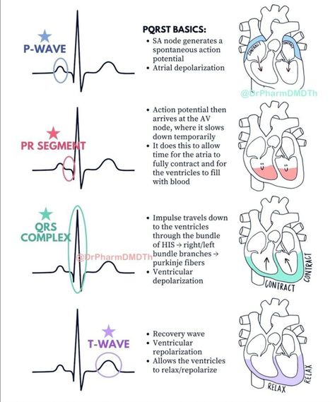 Advanced Emt, Ekg Rhythms, Nursing School Prep, Emt Study, Nursing School Inspiration, Paramedic School, Nursing Cheat, Nursing School Essential, Nursing School Motivation