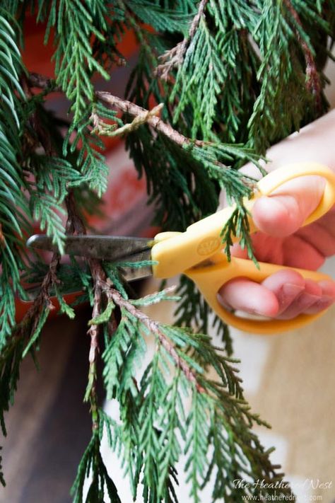 5 Easy DIY ways to Decorate with FREE Christmas Tree Trimmings or Pine Clippings for the Holidays! Don't spend more on decor, when you can use beautiful greenery for free! How To Decorate With Pine Branches, Diy Garland Ideas, Christmas Tree Trimming, Garland Ideas, Holiday Greenery, The Dazzling, Ideas For Christmas, Festival Diy, Tree Trimming