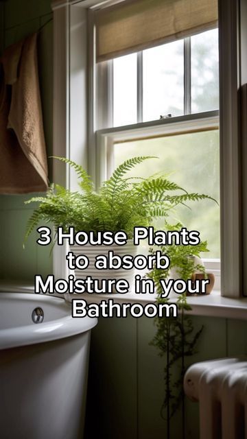 Bathroom Plants No Sunlight, Dark Green Bathrooms, Botanical Bathroom, Green Bathroom Decor, Orange Bathrooms, Plant Magic, Boston Fern, English Ivy, Bathroom Plants