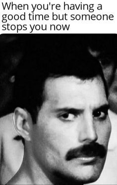 Queen Songs, Freddie Mercury Quotes, Good Meme, Queen Humor, What Meme, Queen Meme, Queen Photos, Roger Taylor, Queen Freddie Mercury