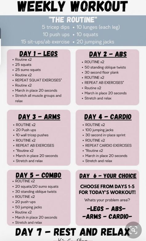 Weekly Gym Workouts, Workout Gym Routine, Gym Workout Plan For Women, Work Out Routines Gym, Daily Gym Workout, Weekly Workout Plans, Daily Workout Plan, Workout Routines For Beginners, Workout Plan For Beginners