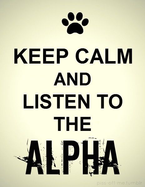 Con Alpha Wolf, The Alpha, Teen Wolf, The Words, Keep Calm, A Black, Black And White, Quotes, White