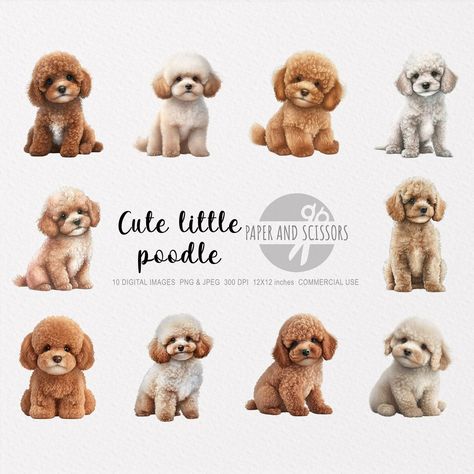 Clipart Pup Parade: Illustrated Dogs Poodle Clipart, Poodle Illustration, Animal Caricature, Illustration Dog, Puppy Portraits, Cartoon Crazy, Dog Clipart, 강아지 그림, Cat Clipart