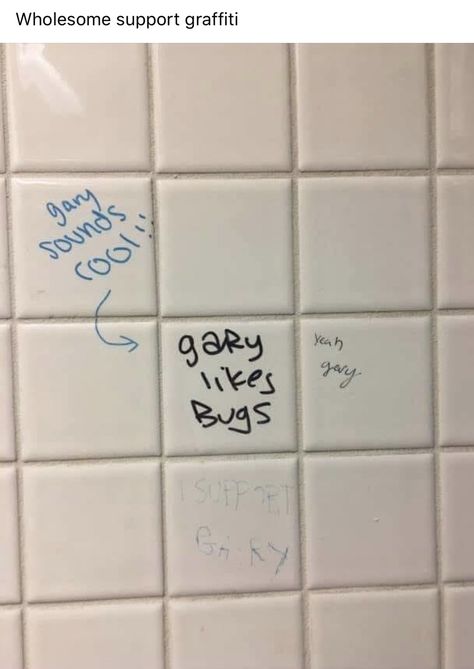 Bathroom Writing, Stuff To Write, Bathroom Stalls, Bathroom Graffiti, Wrestling Memes, Graffiti Quotes, Weird Photography, Love Graffiti, School Bathroom