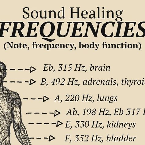 Healers of the Light on Instagram: "Did you know that each organ and function in our body has a different frequency.  Frequencies can help heal and align the body to achieve optimal performance. Of course frequency alone is not going to work if you don’t follow other protocols like the ones I shared in today’s post for communicating with your body according to Ayurveda.   That’s a very complete guide that I will be developing one by one and also in the next online webinar coming. To be announced.  What sound frequency would you like me to share next?  ❤️  #energy #fitness #wellness" High Frequency Music, Chakra Music, Frequency Healing, Sound Frequency, Biology Major, High Vibrations, Sound Frequencies, Healing Frequencies, Spiritual Manifestation