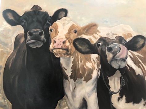 Painting Ideas On Canvas Cow, Cow Paintings, Long Hair Cow Painting, Cow On Couch Painting, Long Haired Cow Painting, Cows In Field Painting, Cow Artwork, Cow Illustration, Cow Drawing