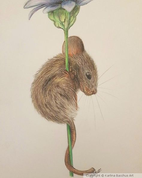 Mouse Reading A Book Tattoo, Field Mouse Drawing, Cute Mice Drawings, Mice Painting, Mice Drawing, Mouse Watercolor, Rat Tattoo, Mouse Paint, Mouse Tattoos