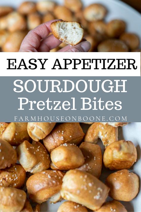 Discard Pretzel Bites, Sourdough Soft Pretzel Recipe, Sourdough Pretzel Bites, Healthy Drink Ideas, Sourdough Pretzel Recipe, Sourdough Pretzel, Pretzel Bites Recipe, Pretzel Bites Recipes, Recipe Using Sourdough Starter