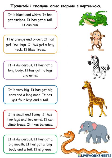 Esl Animals Activities, Animals Teaching Ideas, Animals For Preschool Activities, Describing Animals Worksheets, Worksheet Animals For Kids, Animals For Kids Teaching, Worksheets About Animals, Animals Worksheet For Grade 1, Wild Animals Activities For Kids