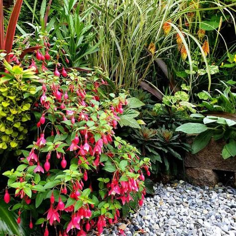 The Top 54 Tropical Garden Ideas - Trendey Tropical Plants Uk, Hammock Area, Tropical Garden Ideas, Tropical Bedding, Balinese Garden, Narrow Garden, Tropical Garden Design, Garden Makeover, Raised Planter