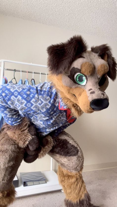 change clothes? credit: akfinntheaussie Canine Fursona, Fursona Dog, Canine Fursuit, Dog Fursuit, Unique Fursuits, Fursuit Head, Weiner Dog, Cosplay Ideas, Cattle Dog