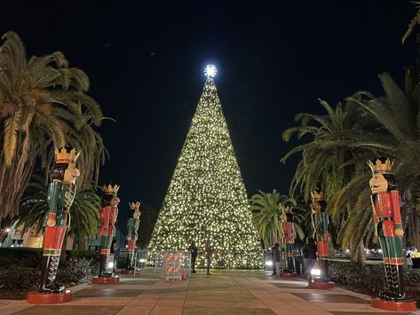 Downtown Orlando at Lake Eola Christmas Tree #lakeeola #downtownorlando #christmasinorlando Lake Eola Orlando, Christmas Florida, Orlando Christmas, Things To Do In Orlando, Best Christmas Tree, Lake Eola, Florida Christmas, Downtown Orlando, Mormon Temple