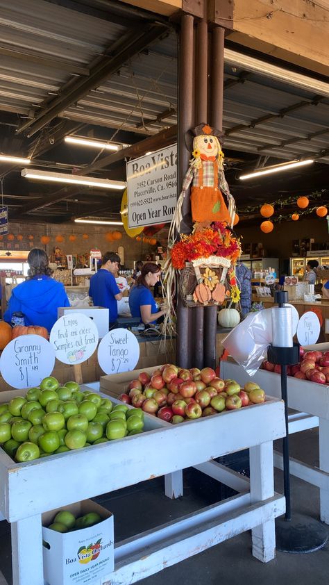 Boa vista orchards apple hill California apple hill apples pumpkins scarecrow cute picture fall vibes things to do for fall Northern California Things To Do For Fall, Scarecrow Cute, Apple Hill California, Apple Hill, Cute Picture, Cold Season, Scarecrow, Northern California, Fall Vibes