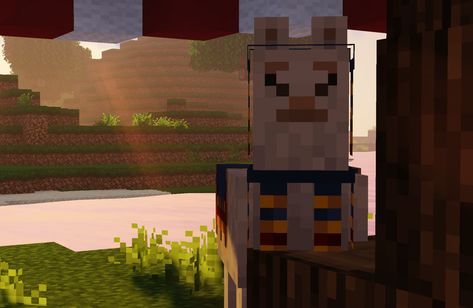 Minecraft Llama, Minecraft Screenshots, Minecraft Wallpaper, Fun Math Games, Minecraft Ideas, Support Group, Fun Math, Math Games, Llama