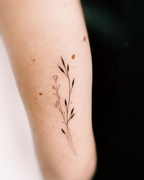 Fine Line Greenery Tattoo, Stem Tattoo Leaves, Forearm Tattoo Women Minimalist, Minimal Botanical Tattoo, Fineline Botanical Tattoo, Fine Art Tattoo Minimalist, Minimal Arm Tattoos For Women, Minimal Nature Tattoo, Minimalist Leaf Tattoo