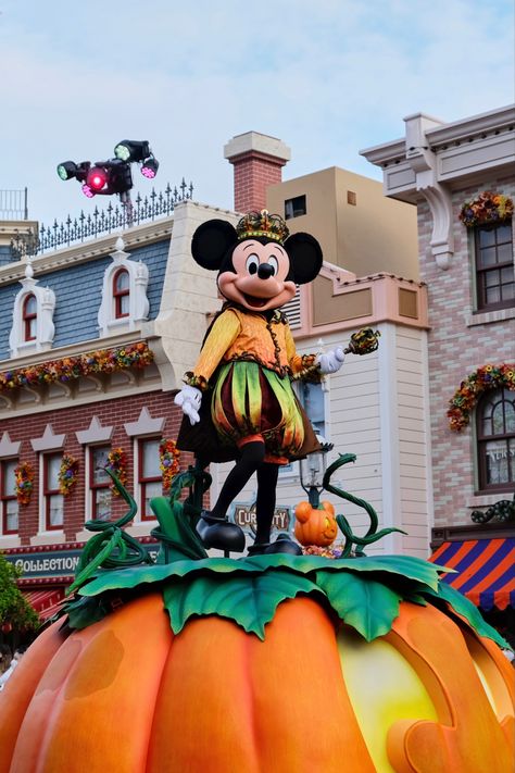 Wicked halloween party with Mickey & Friends! #fotocollectiv #hongkong #halloween Hk Disneyland Photography, Hong Kong Disneyland Aesthetic, Hk Disneyland, Disney Halloween Nostalgia, Halloweentime At Disneyland, Disney Wall Art, Halloween Disney, Halloween Parade, Disneyland Halloween