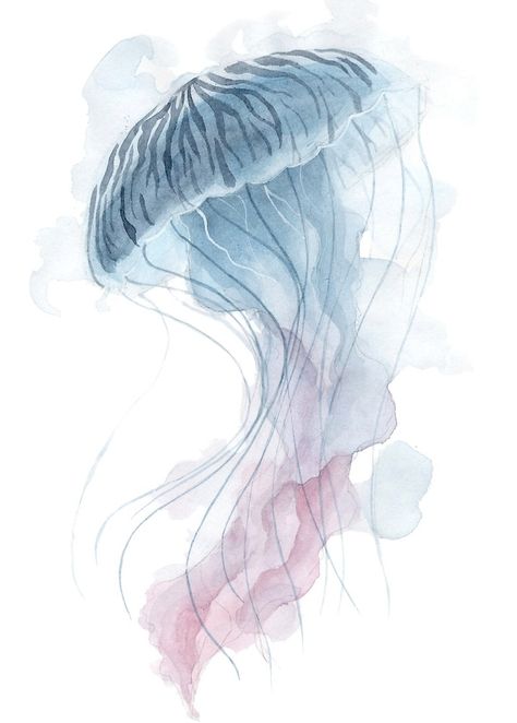 "watercolor jellyfish" | Threeleaves Spirit Summoner, Watercolor Jellyfish Tattoo, Jellyfish Watercolor Painting, Drawing Jellyfish, Jellyfish Tentacles, Jellyfish Illustration, Jellyfish Photography, Jellyfish Decorations, Watercolor Jellyfish