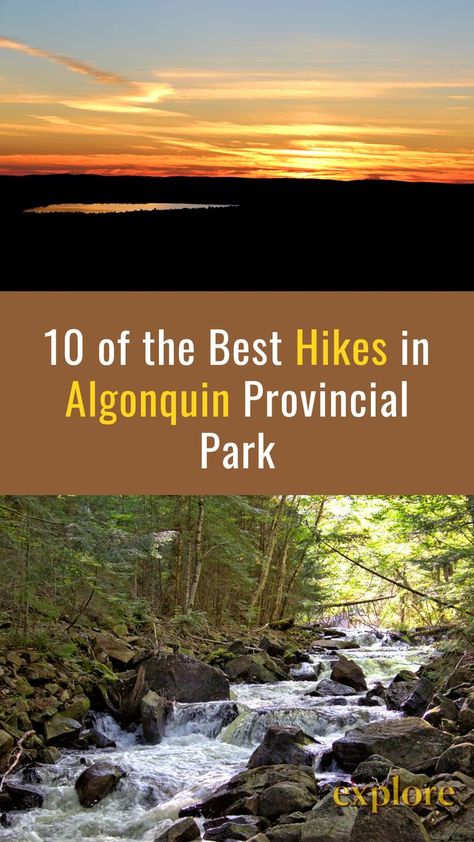 Ontario Provincial Parks, Algonquin Provincial Park, Beginner Hiking, Canada Trip, Algonquin Park, Backcountry Camping, Rv Adventure, Parks Canada, Canada Road Trip