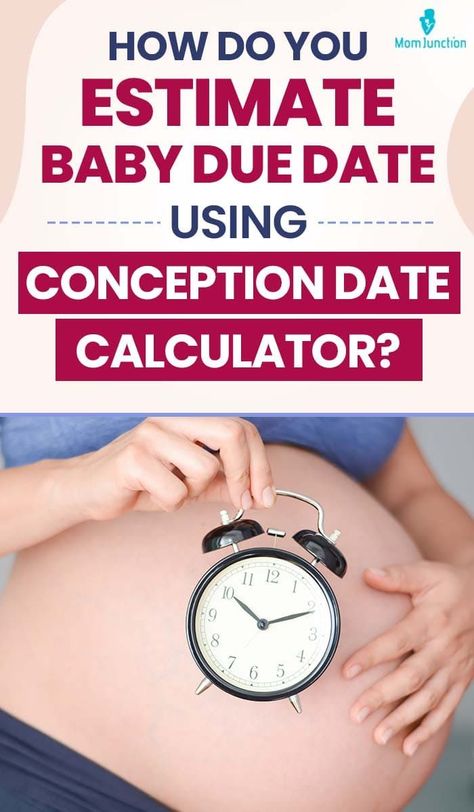 Conception Calculator, Pregnancy Due Date Calculator, Due Date Calculator, Conception Date, Pregnancy Due Date, Pregnancy Calculator, Baby Due Date, Baby Due, Menstrual Period