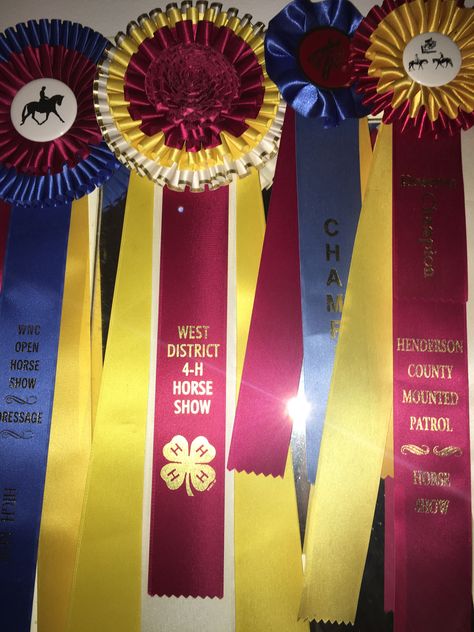 Horse show ribbons Horseshow Ribbon Display Ideas, Tail Ribbons Horse, Equestrian Ribbons, Horse Ribbons, Horse Show Ribbons, Show Horse, Horse Equestrian, Equestrian Outfits, Show Horses