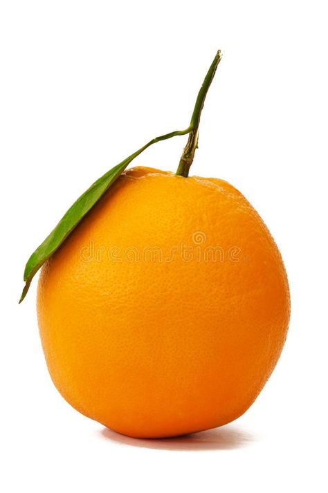 Single Full Orange Fruit. A Single Full Orange Fruit Isolated on White Backgroun , #Affiliate, #Orange, #Full, #Single, #Fruit, #Background #ad Single Fruits Images, Single Fruit Photography, Fruit Background, Fruit Names, Watercolor Workshop, Fruits Images, Fruit Photography, Orange Fruit, Drawing Inspo