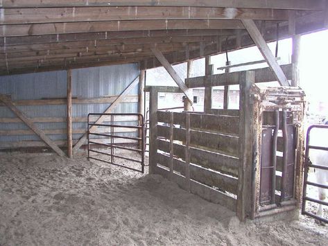 Cattle Barn Designs, Cattle Gate, Cattle Facility, Cattle Corrals, Livestock Barn, Livestock Shelter, Cattle Barn, Raising Cattle, Beef Cow