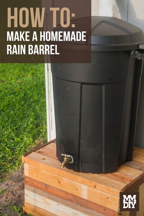 Barrel Garden Ideas, Diy Rain Barrel, Rain Barrel Stand, Rain Barrel System, Ways To Conserve Water, Barrels Diy, Water Barrel, Rain Collection, Front Yards