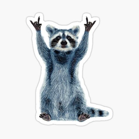 Raccoon Sticker, Cup Vinyl, Cute Car Decals, Funny Car Decals, Stickers Cool, Funny Raccoon, Yeti Cup, Cute Raccoon, Raccoon Funny