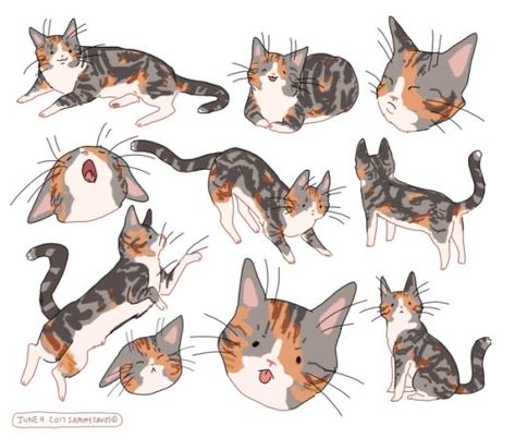 Sammy Savos, 강아지 그림, Animal Study, Cats Kittens, Cats Illustration, Animal Sketches, Cute Animal Drawings, Cat Illustration, Cat Drawing